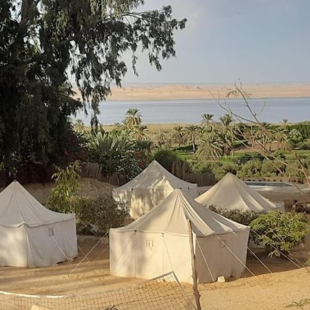 Tunis Camp Al Fayyūm Kültér fotó