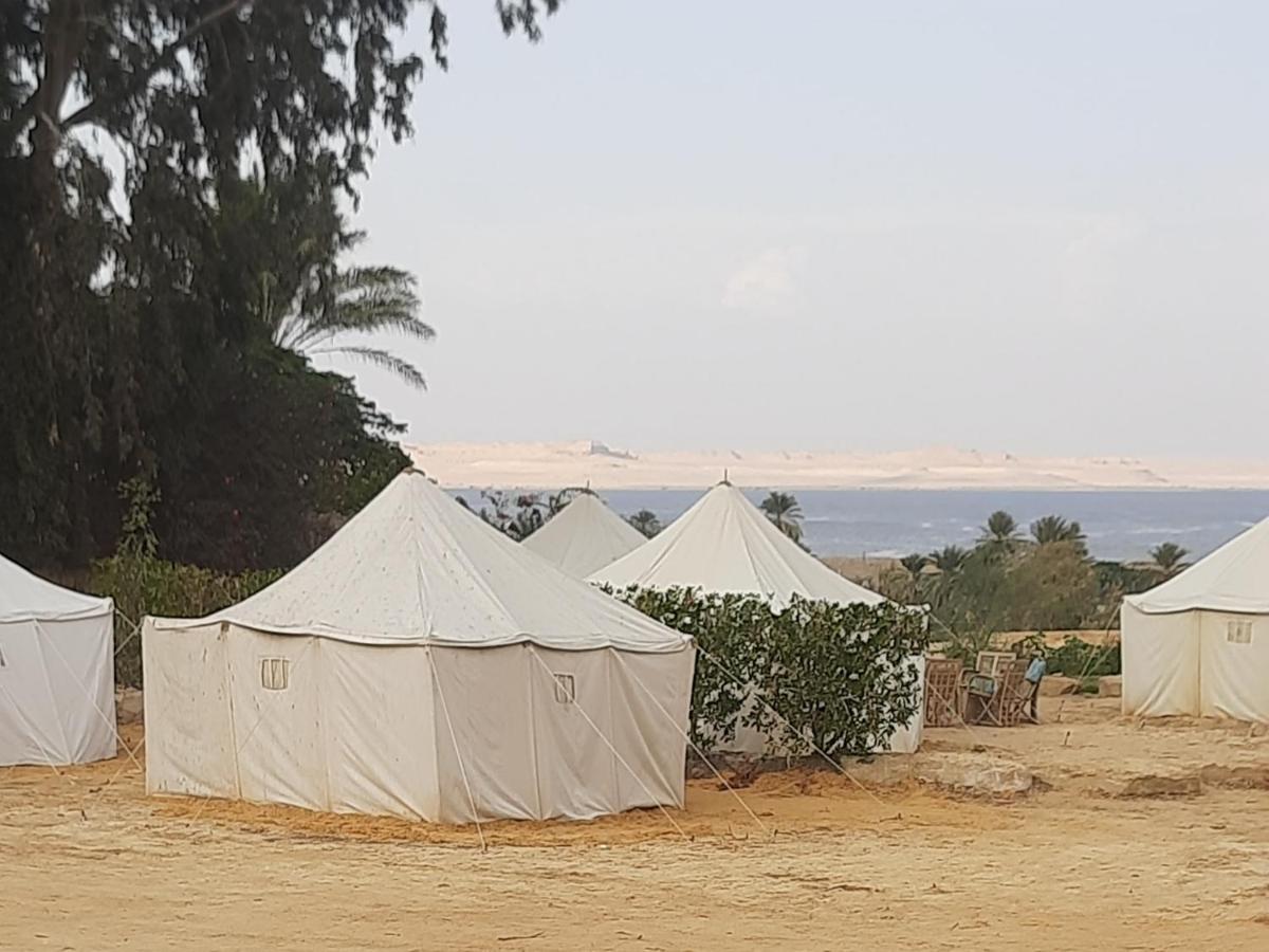 Tunis Camp Al Fayyūm Szoba fotó