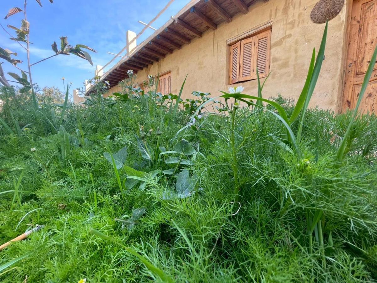 Tunis Camp Al Fayyūm Kültér fotó